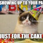 Grumpy cat in a party hat pretending to care about your birthday.