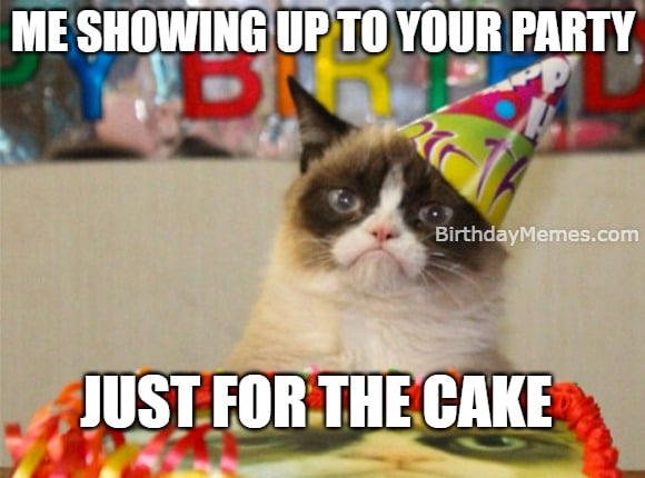 Grumpy cat in a party hat pretending to care about your birthday.