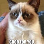 Grumpy Cat unimpressed by someone else's birthday.