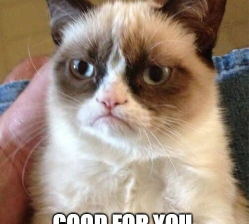 Grumpy Cat unimpressed by someone else's birthday.
