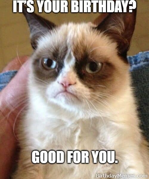 Grumpy Cat unimpressed by someone else's birthday.