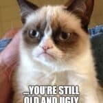 Grumpy Cat meme wishing happy birthday while saying you’re still old and ugly.