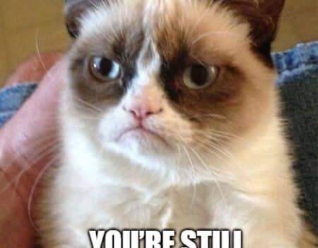 Grumpy Cat meme wishing happy birthday while saying you’re still old and ugly.