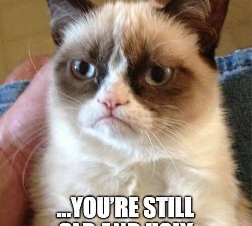 Grumpy Cat meme wishing happy birthday while saying you’re still old and ugly.