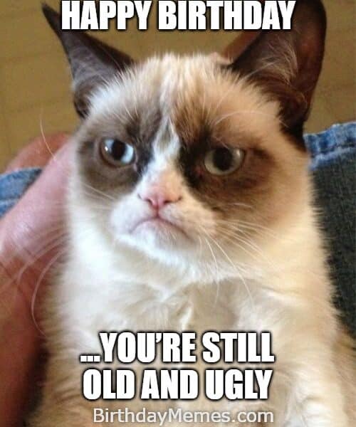 Grumpy Cat meme wishing happy birthday while saying you’re still old and ugly.