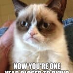 Dark humor birthday meme with grumpy cat