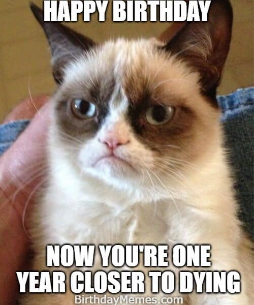 Dark humor birthday meme with grumpy cat