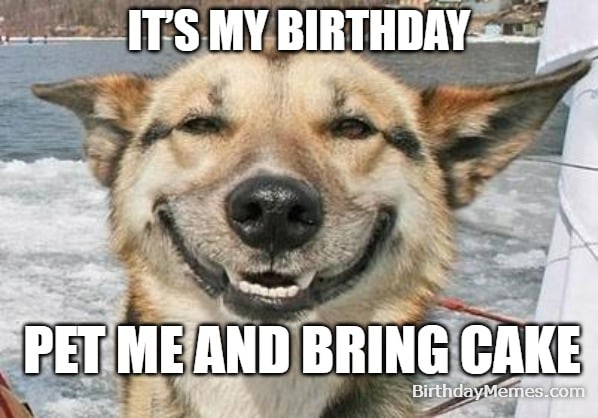 Happy dog with the caption “It’s my birthday, pet me and bring cake.”