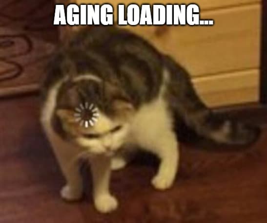 loading circle on cat