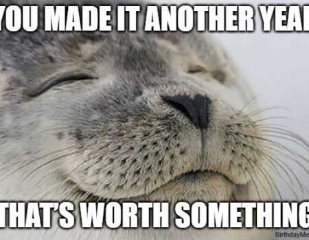 smiling seal meme about making it through another year and staying positive on your birthday