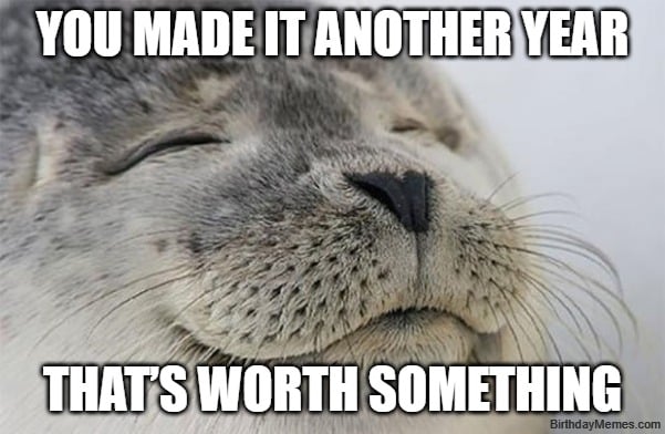 smiling seal meme about making it through another year and staying positive on your birthday