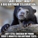 Confession Bear meme showing a bear with a guilty expression saying they didn’t want a big birthday celebration but checked phone for texts.