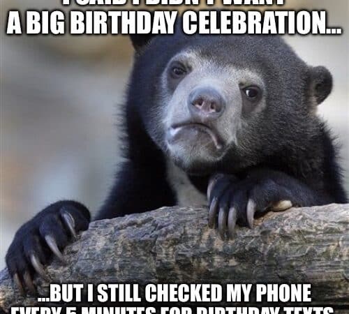 Confession Bear meme showing a bear with a guilty expression saying they didn’t want a big birthday celebration but checked phone for texts.
