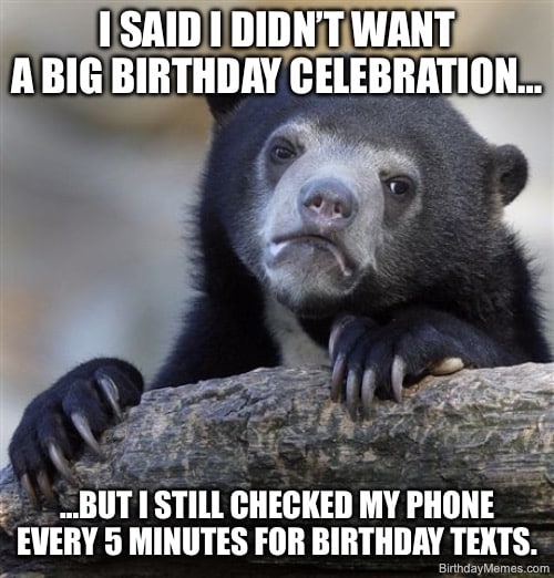 Confession Bear meme showing a bear with a guilty expression saying they didn’t want a big birthday celebration but checked phone for texts.