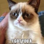 A grumpy-looking cat with text: 'Happy Birthday! I got you a smile... it expired.'