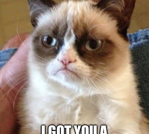 A grumpy-looking cat with text: 'Happy Birthday! I got you a smile... it expired.'