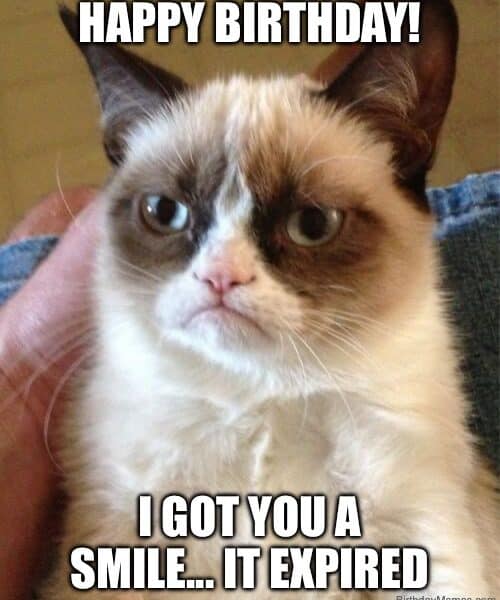 A grumpy-looking cat with text: 'Happy Birthday! I got you a smile... it expired.'