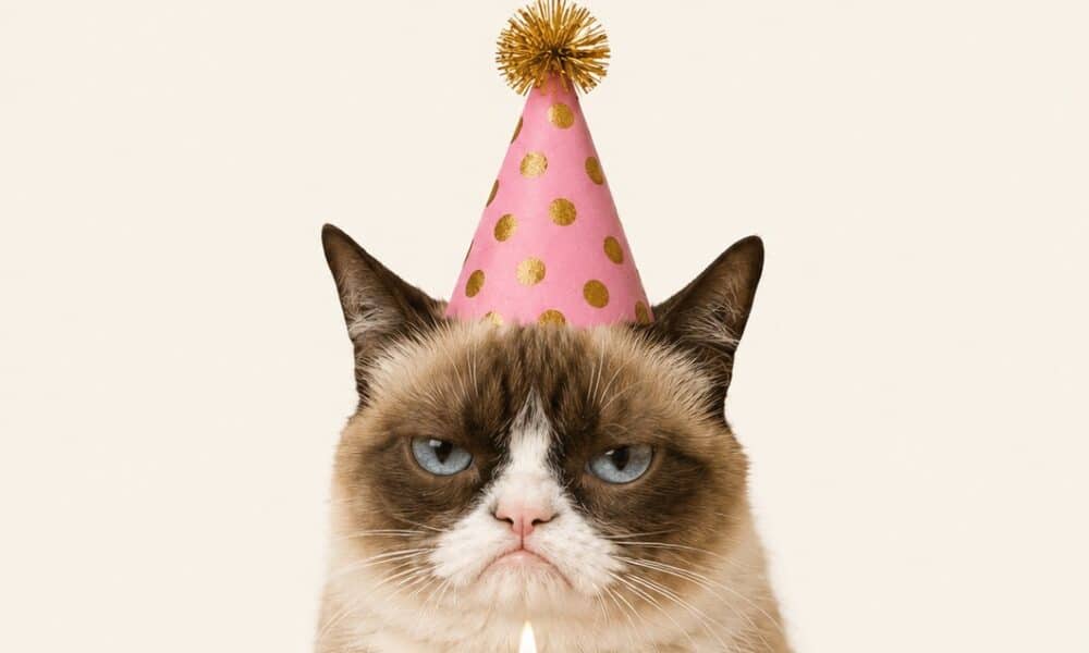 A grumpy cat in a party hat sits behind a pink birthday cake with a single candle. The meme reads: 'Happy Birthday! Another year closer to talking about your back pain at parties. But hey, cake!'