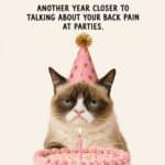 A grumpy cat in a party hat sits behind a pink birthday cake with a single candle. The meme reads: 'Happy Birthday! Another year closer to talking about your back pain at parties. But hey, cake!'