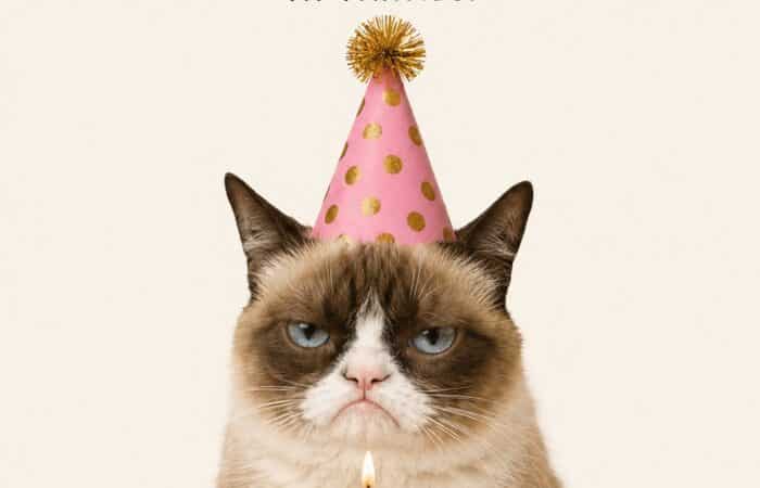 A grumpy cat in a party hat sits behind a pink birthday cake with a single candle. The meme reads: 'Happy Birthday! Another year closer to talking about your back pain at parties. But hey, cake!'
