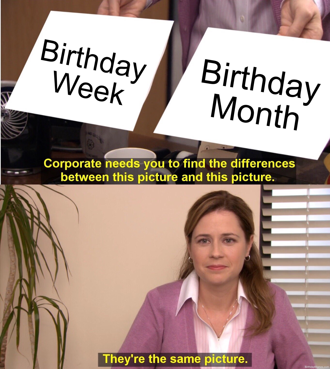 Pam from The Office is asked to find the difference between 'Birthday Week' and 'Birthday Month' and says they're the same picture.