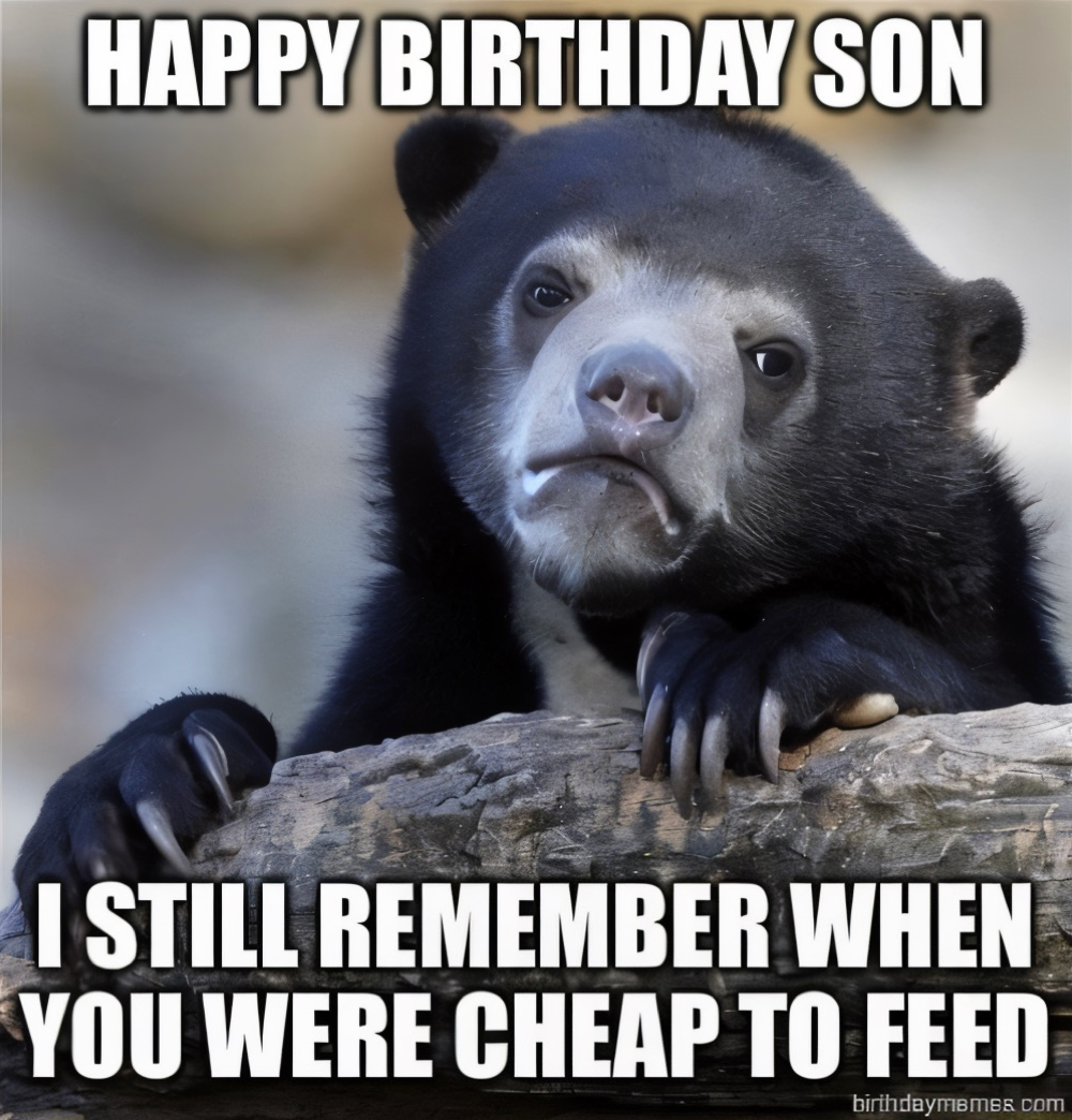 Confession Bear resting on a log with text: Happy birthday son, I still remember when you were cheap to feed.