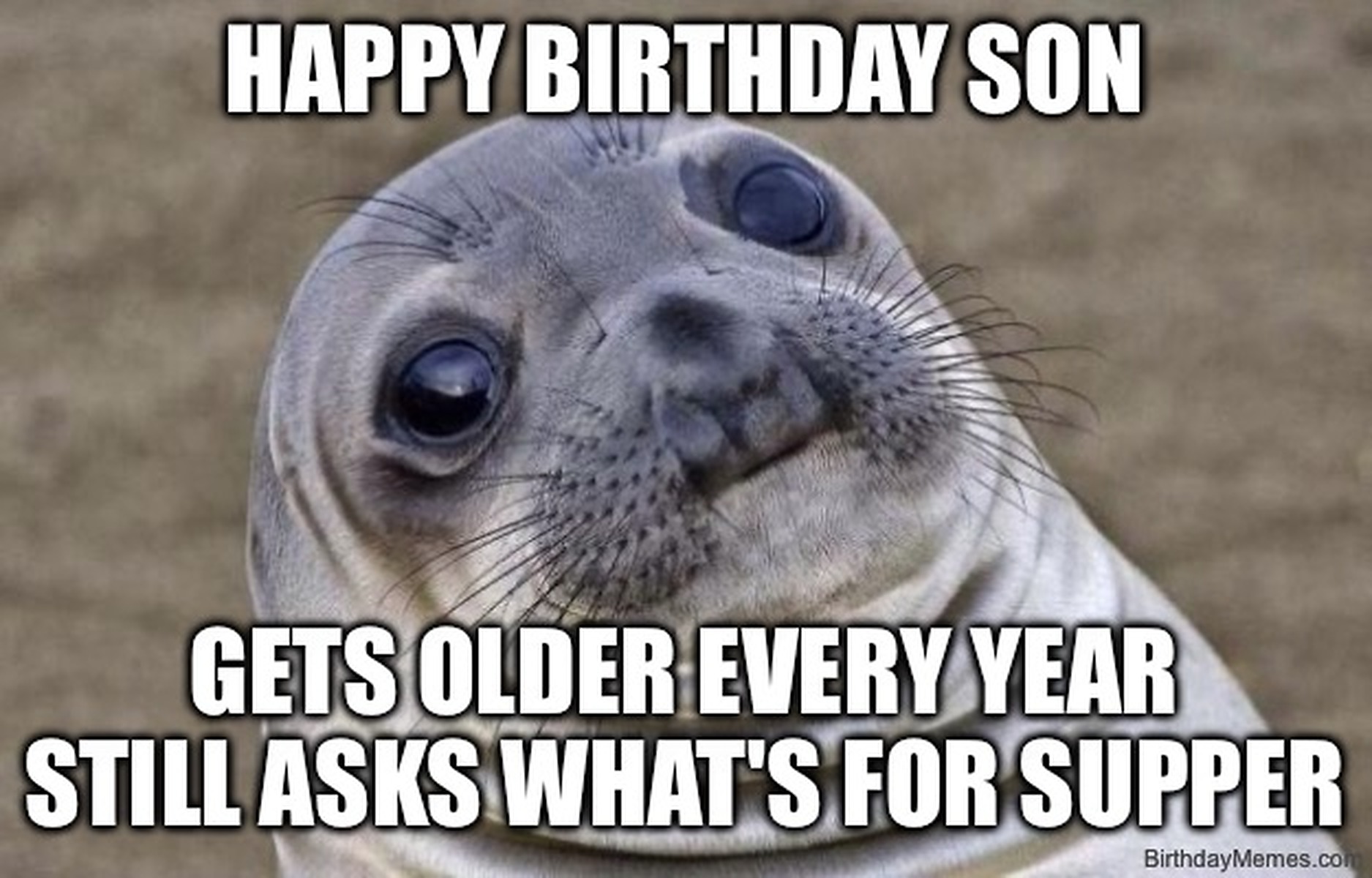 A seal with a sheepish look and text: Happy Birthday Son. Gets older every year, still asks what's for supper.