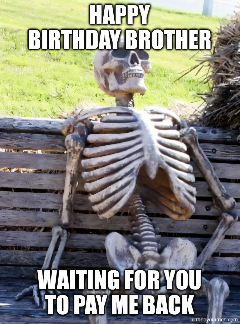 A skeleton sits on a wooden bench with the words 'Happy Birthday Brother Waiting for you to pay me back.'