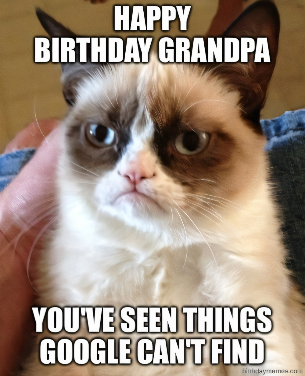 Grumpy Cat with text: Happy Birthday Grandpa. You’ve seen things Google can’t find.