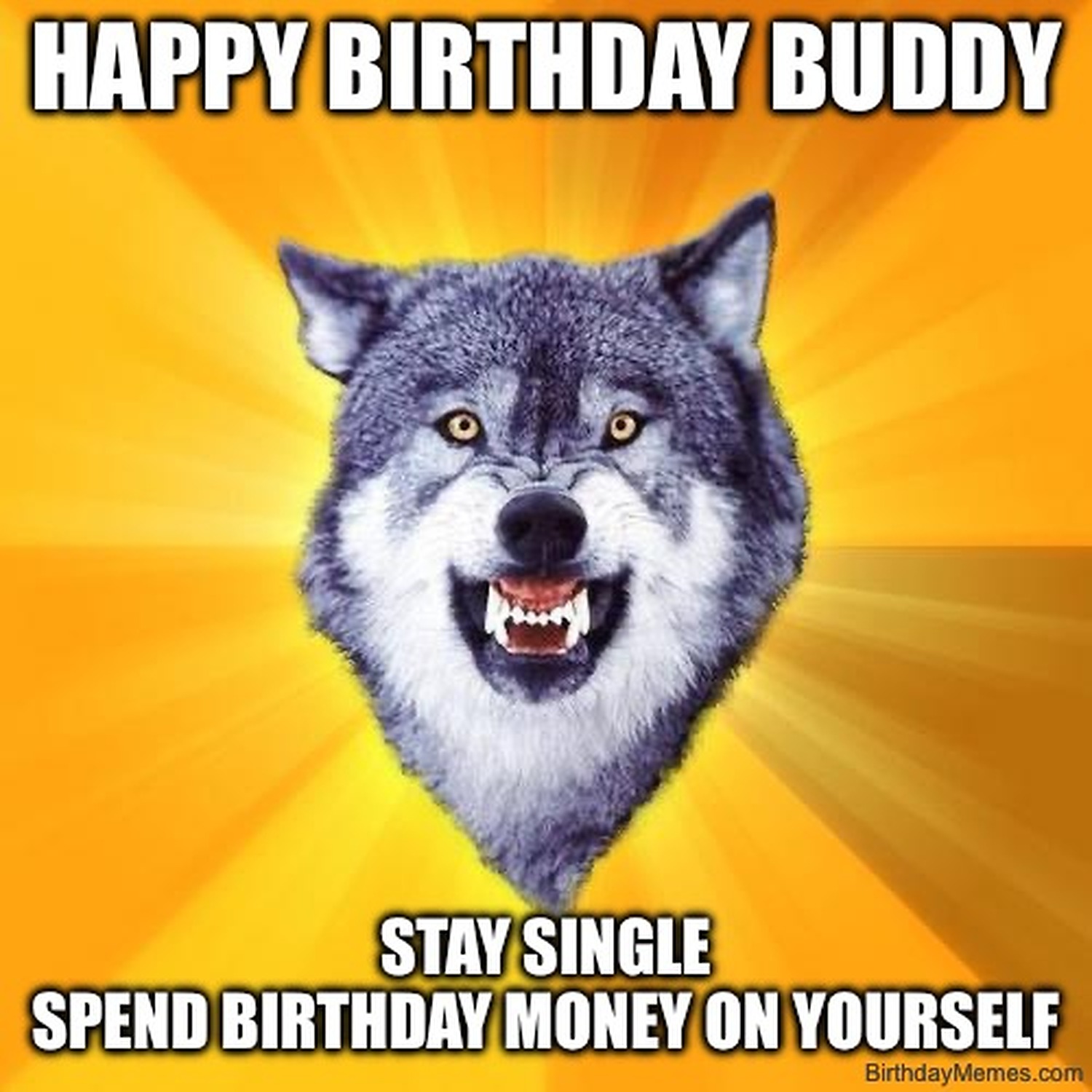 A fierce wolf with text: Happy Birthday Buddy. Stay single, spend birthday money on yourself.
