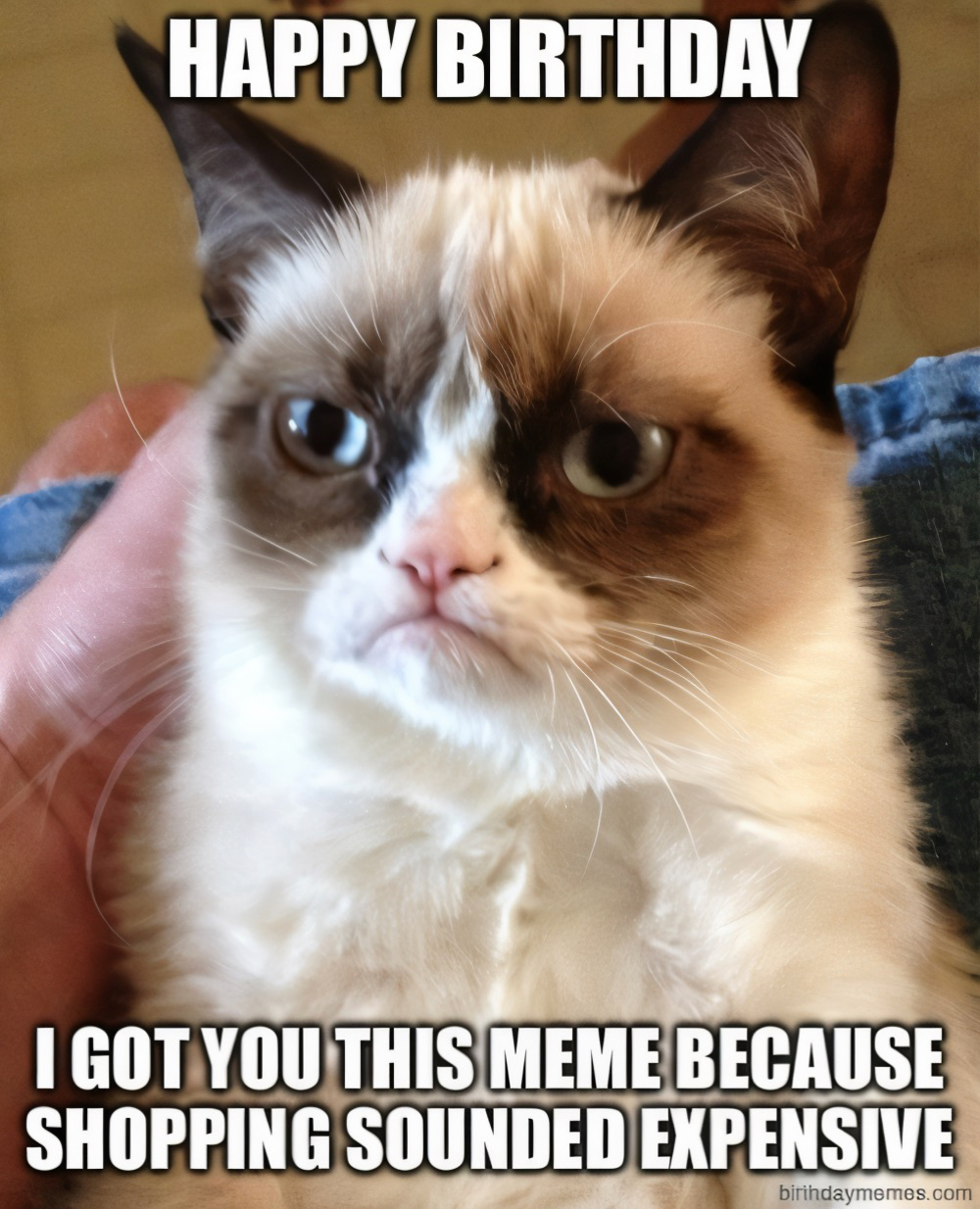 Grumpy Cat with the text: Happy Birthday. I got you this meme because shopping sounded expensive.