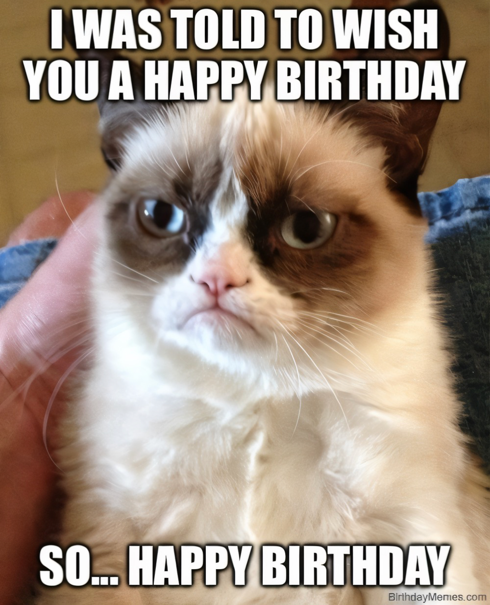 Grumpy Cat with the text 'I was told to wish you a happy birthday. So... happy birthday.'