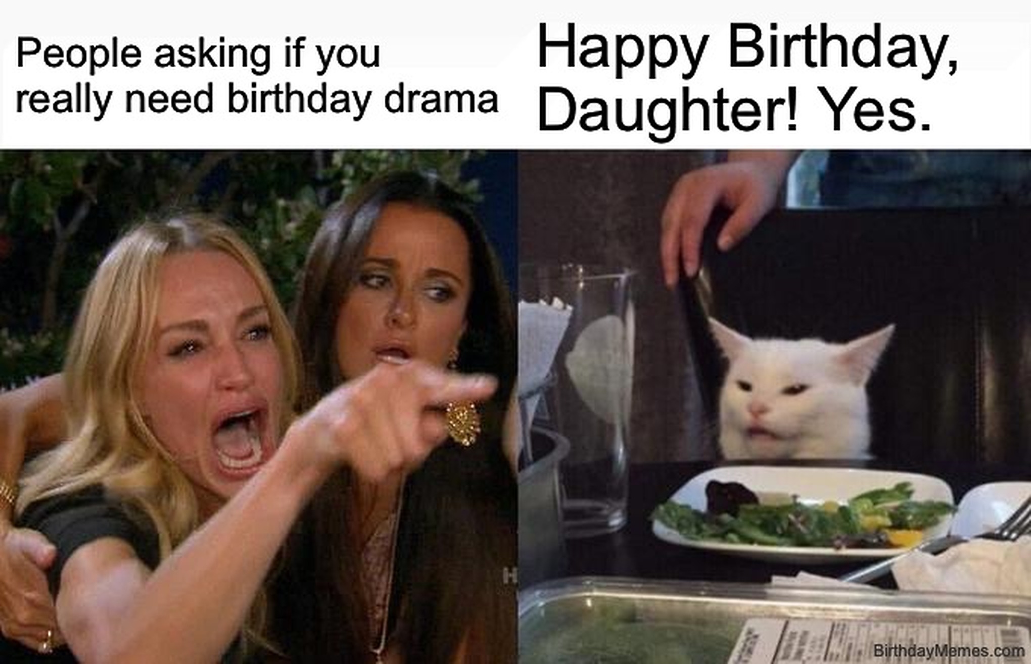 Woman yelling and pointing with another woman holding her back, cat sitting at a table looking unbothered. Text: 'People asking if you really need birthday drama. Happy Birthday, Daughter! Yes.'