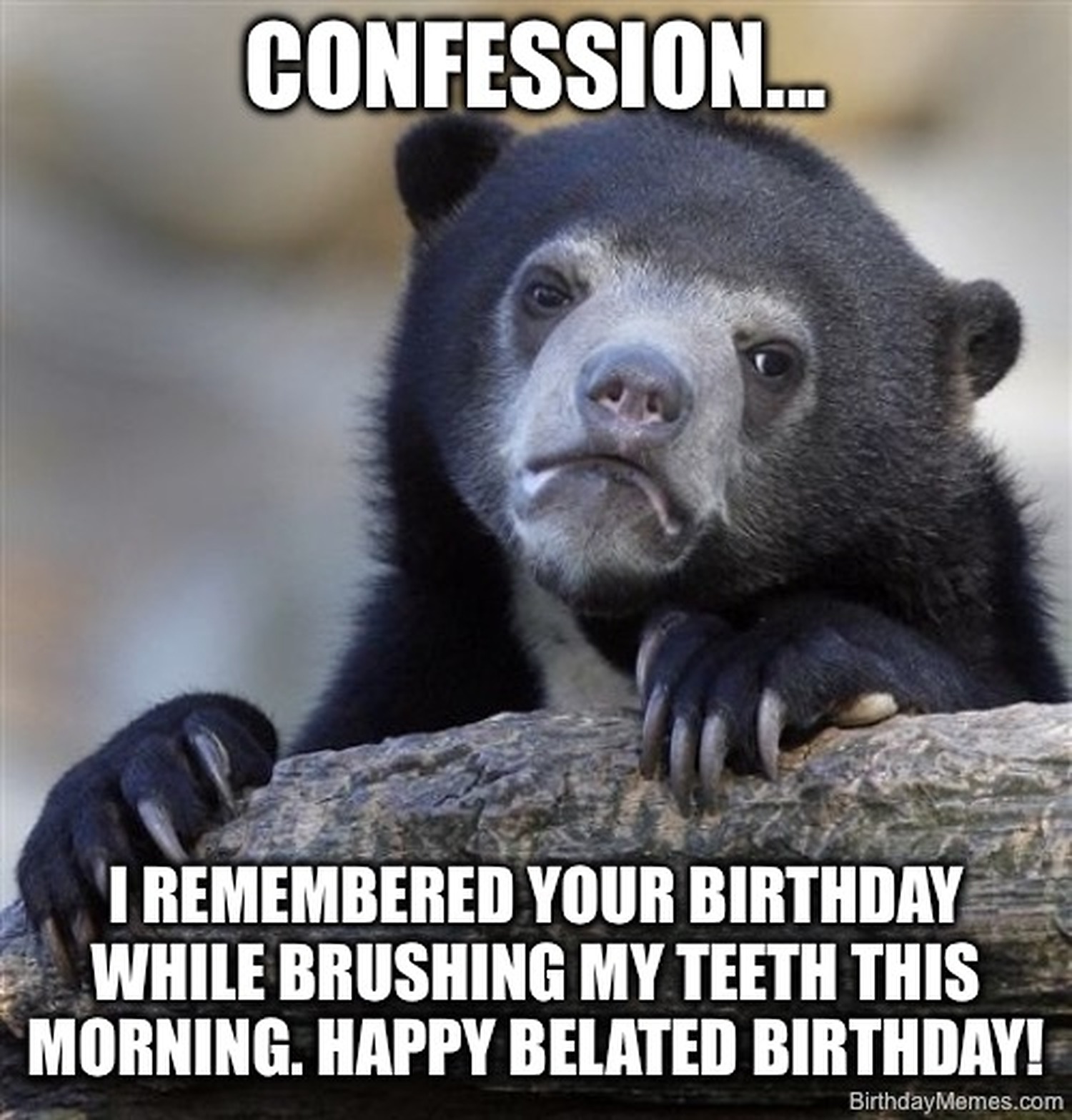 A bear rests its head on a log with the text: 'Confession... I remembered your birthday while brushing my teeth this morning. Happy belated birthday!'