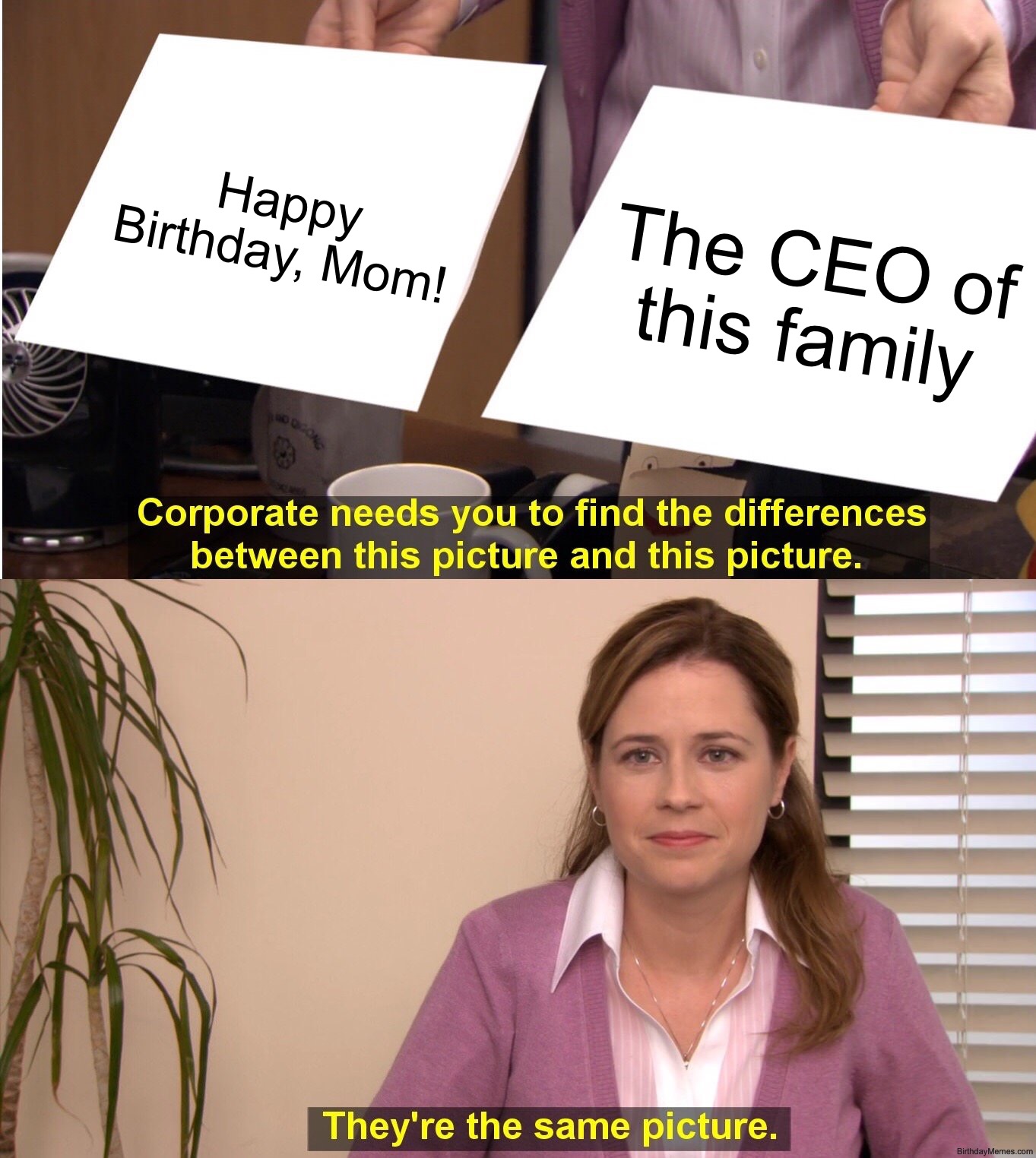 Pam from The Office compares 'Happy Birthday, Mom!' and 'The CEO of this family' cards and says they’re the same picture.