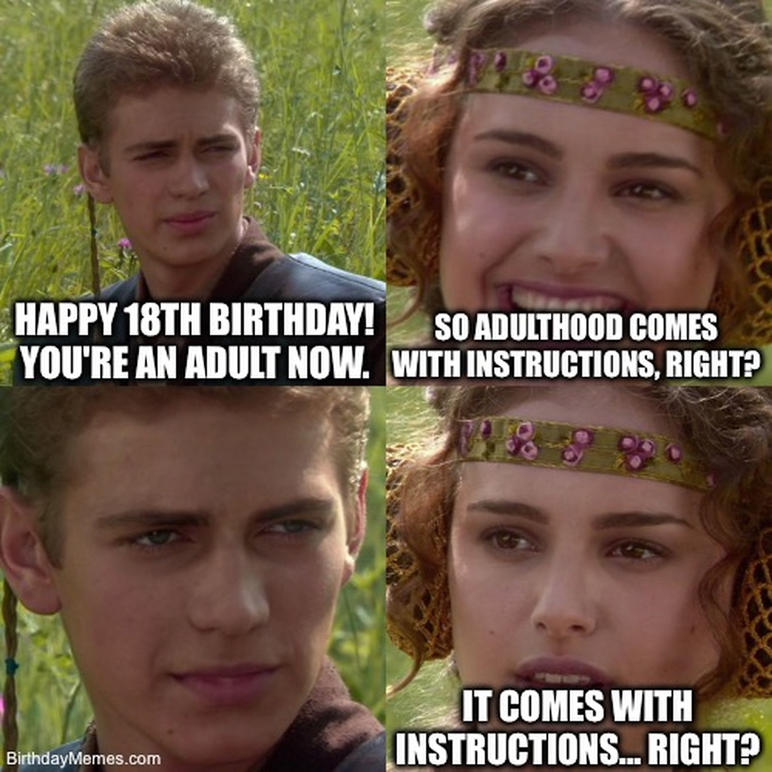 Anakin tells Padmé 'Happy 18th birthday! You’re an adult now.' Padmé asks if adulthood comes with instructions, then looks worried when she realizes it doesn’t.