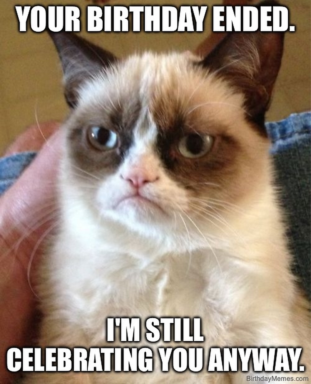 Funny birthday meme image with readable birthday joke text