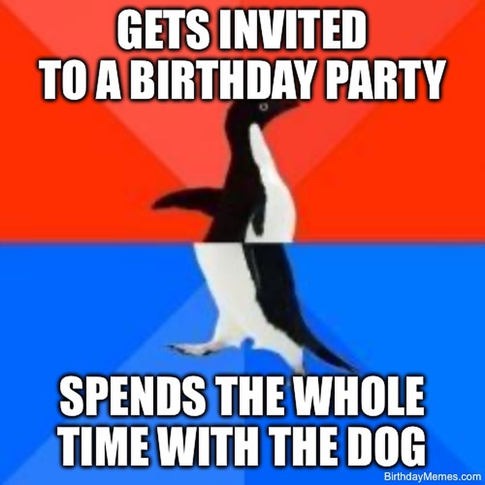 Socially Awkward Penguin meme: Gets invited to a birthday party, spends the whole time with the dog.