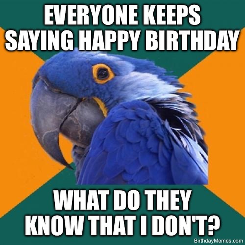 A blue parrot with text: 'Everyone keeps saying happy birthday. What do they know that I don't?'